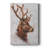 Stag Study II -Custom Wrapped Gallery Cavas-1723772944