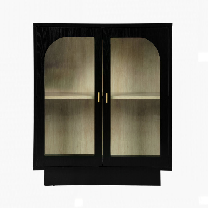 Storage Cabinet with 2 Acrylic Door, Black