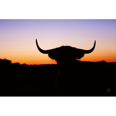 Bull Set by Nathan Larson - Wrapped Canvas Print