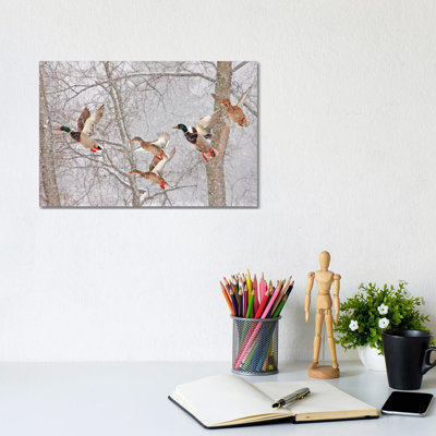 Snowstorm Mallards 1 Piece Wrapped Canvas Wall Art