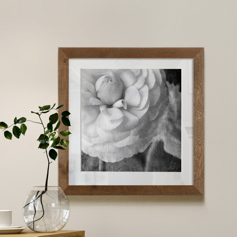 Renoncule foncé II - cadre photo, H 21 po x l 21 po x P 1 po, Papier avec cadre érable, Blanc