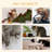 Tamra 106.25'' H Cat Tree