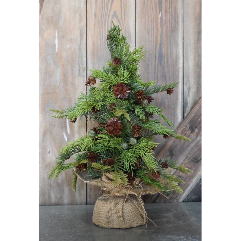 17' Pine Christmas Tree