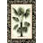 " Small Palm In Zebra Border II (P) " by Vision Studio