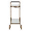 Uttermost Carrinho Antique Brass Bar Cart