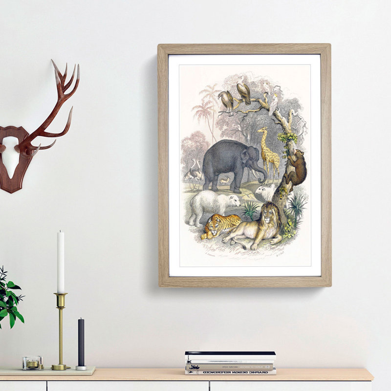 Animal Kingdom Illustration by Oliver Goldsmith - Single Picture Frame Painting, 63cm H x 45cm W x 2cm D, Oak Framed