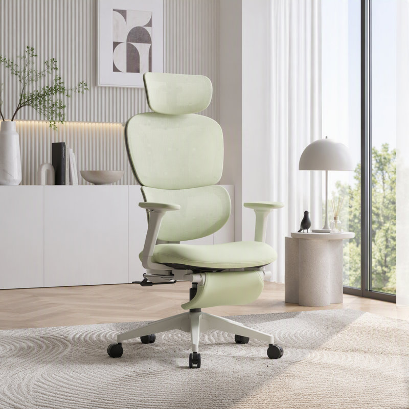 Chaise de bureau ergonomique avec repose-pieds rétractable et soutien lombaire dynamique, Nylon vert
