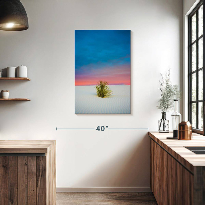 Arbuste White Sands, H 36 po x l 24 po