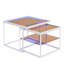 Nedko Coffee Table with Storage