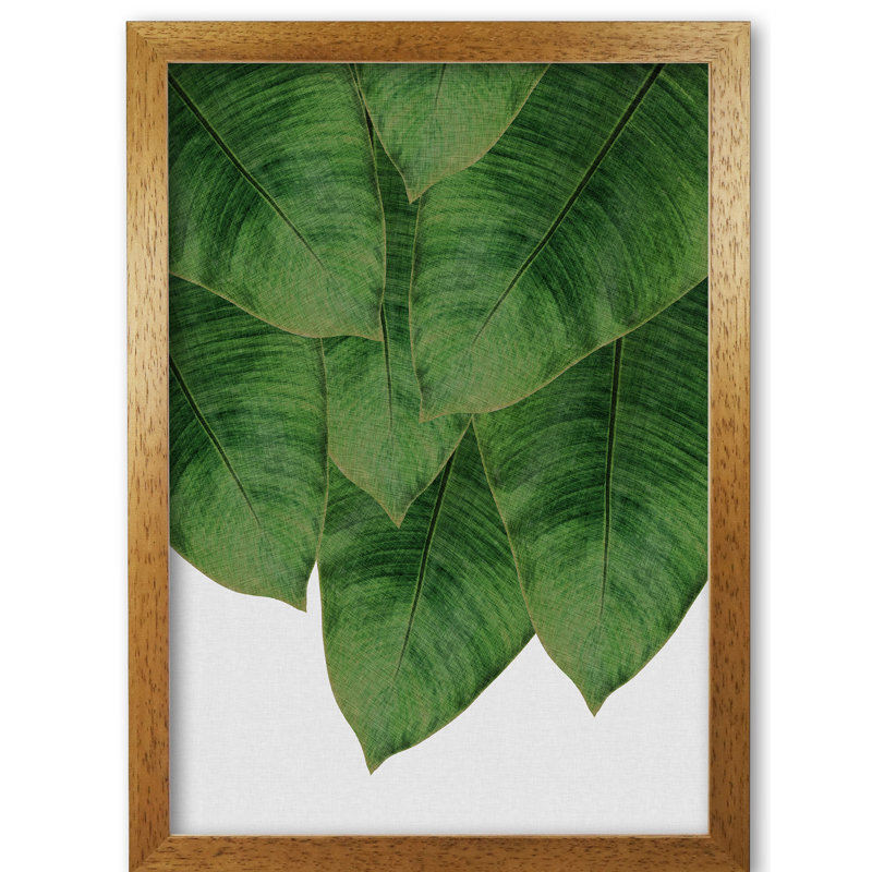 Banana Leaf III - Print, Honey Oak Frame, 30 cm H x 21 cm W x 5 cm D