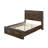 Elettra Platform Storage Bed-97838404