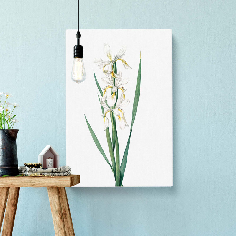 Yellow-Banded Iris Flowers by Pierre-Joseph Redoute - Wrapped Canvas, 76cm H x 50cm W x 3cm D