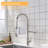 FLG Pull Down Kitchen Faucet
