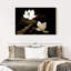 Fleurs de lotus Harnek-107680235
