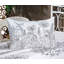 Drap-housse et coussin décoratif Ambesonne-106793531