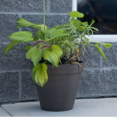 Cara Banded Composite Pot Planter