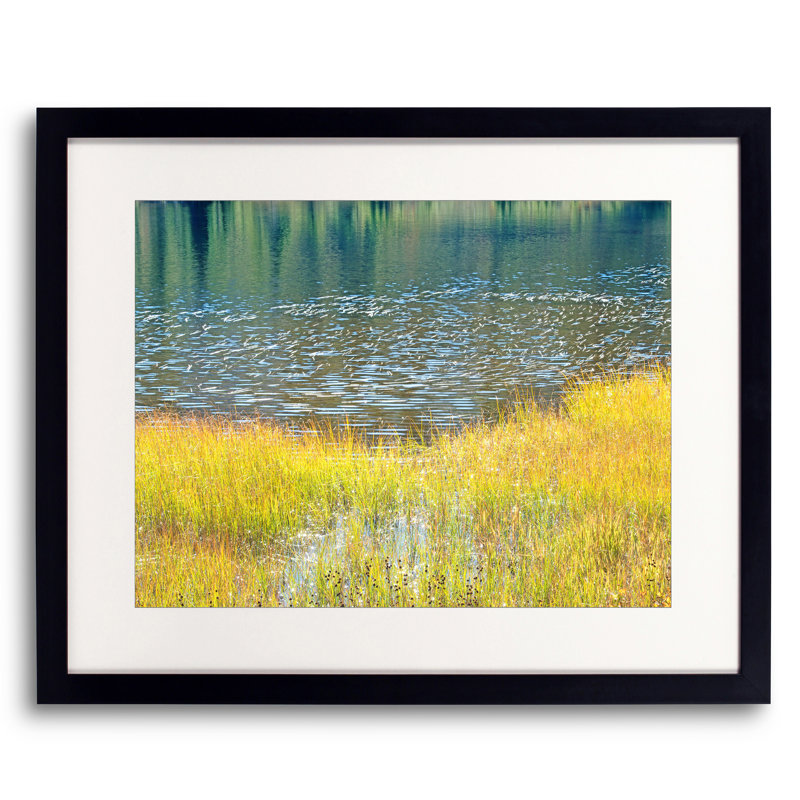 Pond And Reeds In Sunlight Print by Bruce Heinemann, Black Framed Paper, 16" H x 20" W