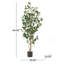 ARBRE DE LAURIER ARTIFIQUE 150CM 150CM-1609630844