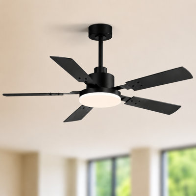 48''/52''/72'' Modern Ceiling Fan with Light, 3CCT LED, Remote Control, 6-Speed Reversible DC Motor, Double-Sided Black/Walnut Blades, Timer, Indoor & Covered Outdoor