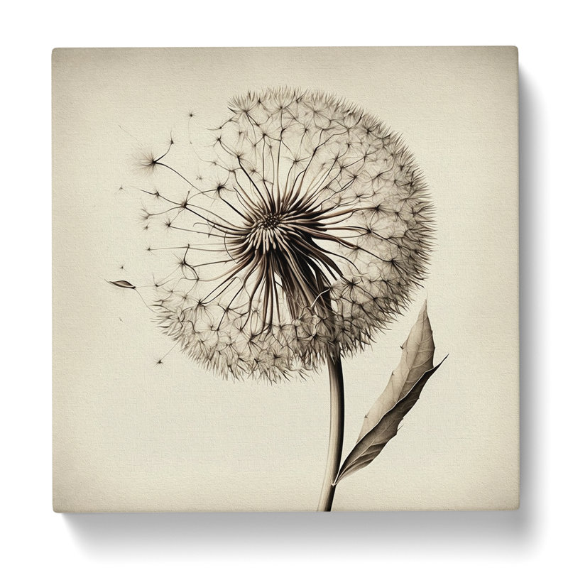 Dandelion Drawing - No Frame Print