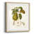 Natural Framed Paper is unavailable