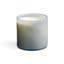 Spike Lavender Scented Jar Candle