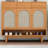 Modern Cherry Wood Color Solid wood Shoe Storage-654063844