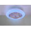 Ehrentraud 50cm Ceiling Fan with LED Lights-1915355207