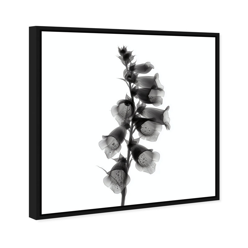 Ossified Petals II Print by Oliver Gal, 31"H x 31"W, Black Floater Frame