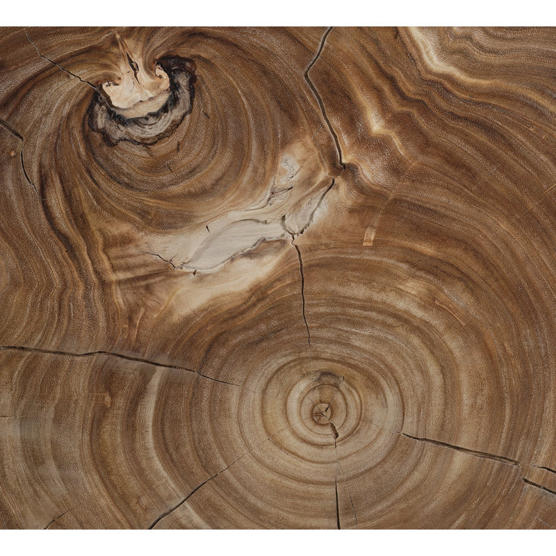 Mara Square Coffee Table