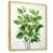 Cadre naturel flottant