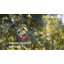 Metal Animals Wind Chime
