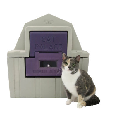 Cat Palace
