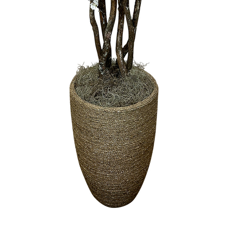 White Cherry Blossom Tree in Tan Pot, 73" H x 32" W x 32" D