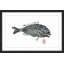 Andrew Clay - Single Picture Frame Print-20604470