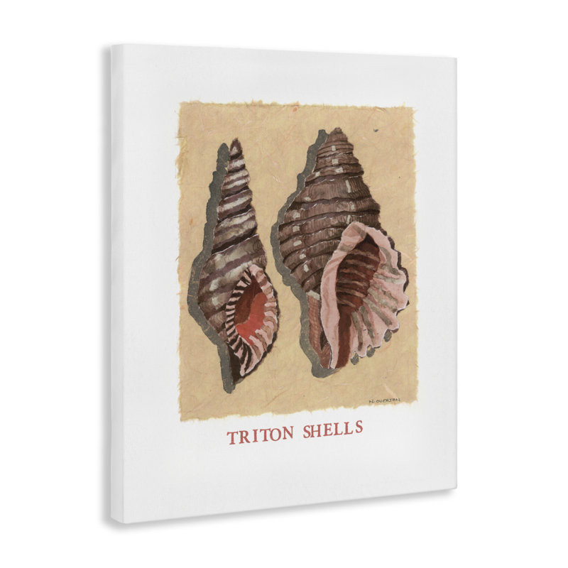 Paire de coquillages Triton, conception de Nancy Overton, 20" H x 16" W