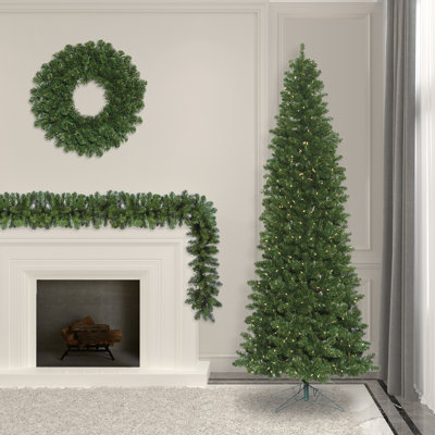 Oregon Fir 102' Lighted Fir Christmas Tree