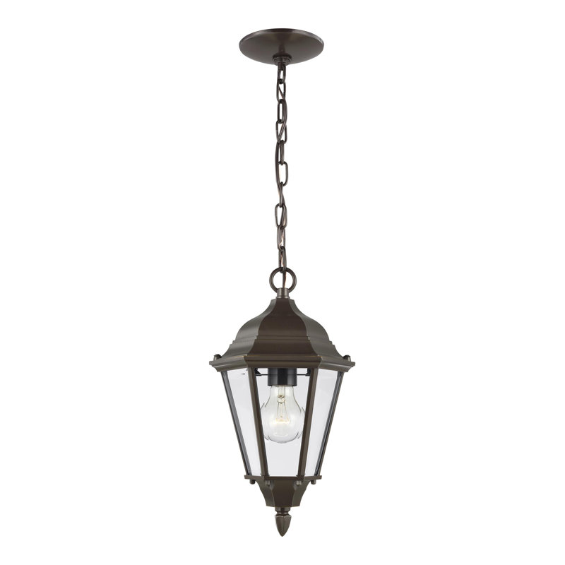 Bakersville One Light Outdoor Pendant from Generation Lighting , Black, No, Clear Shade