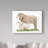 Canvas Art-31882957