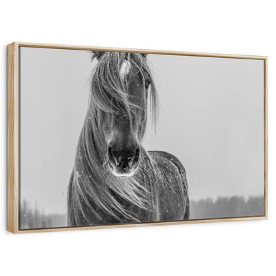 Cheval d'hiver