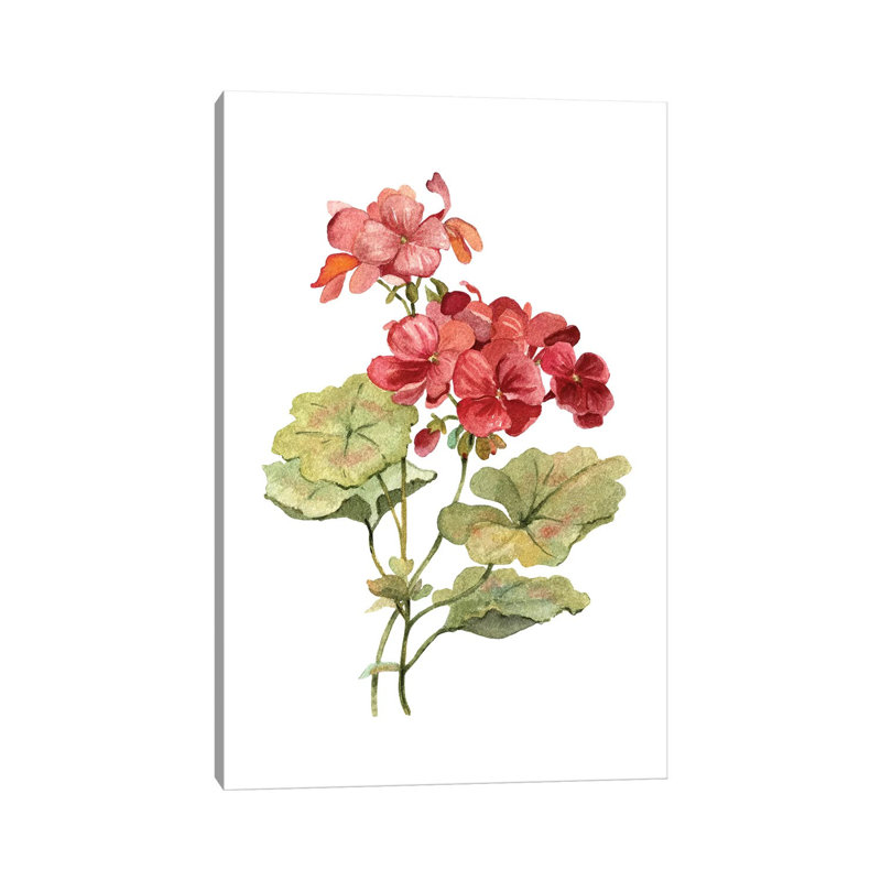 Scarlet Geranium by Carol Robinson - Painting on Canvas, 66.04 cm H x 45.72 cm W x 3.175 cm D, Wrapped Canvas