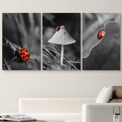 Selective Color Photo of The Red Ladybug Modern Wall Decor