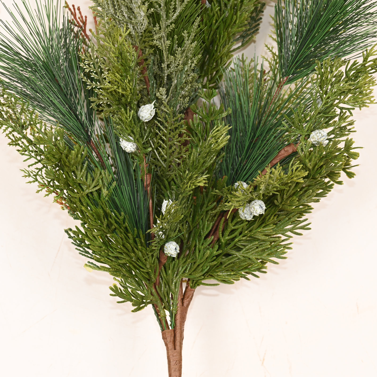 Cypress Pine Needle Stems