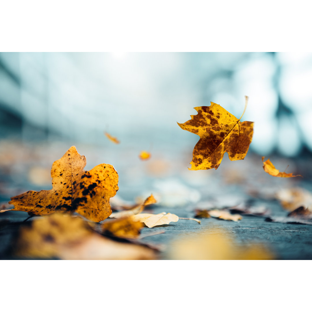 Herbstzeit von Borchee - Druck auf Leinwand ohne Rahmen