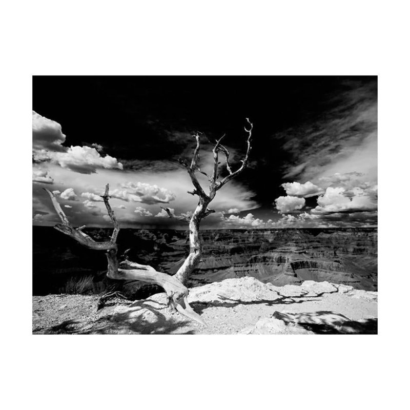 Wall Mural, 121" L x 157" W