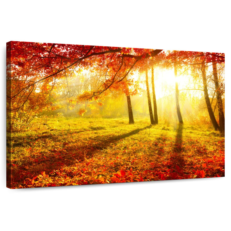 Alvord, paysage d'automne lumineux, H 32 po x l 48 po