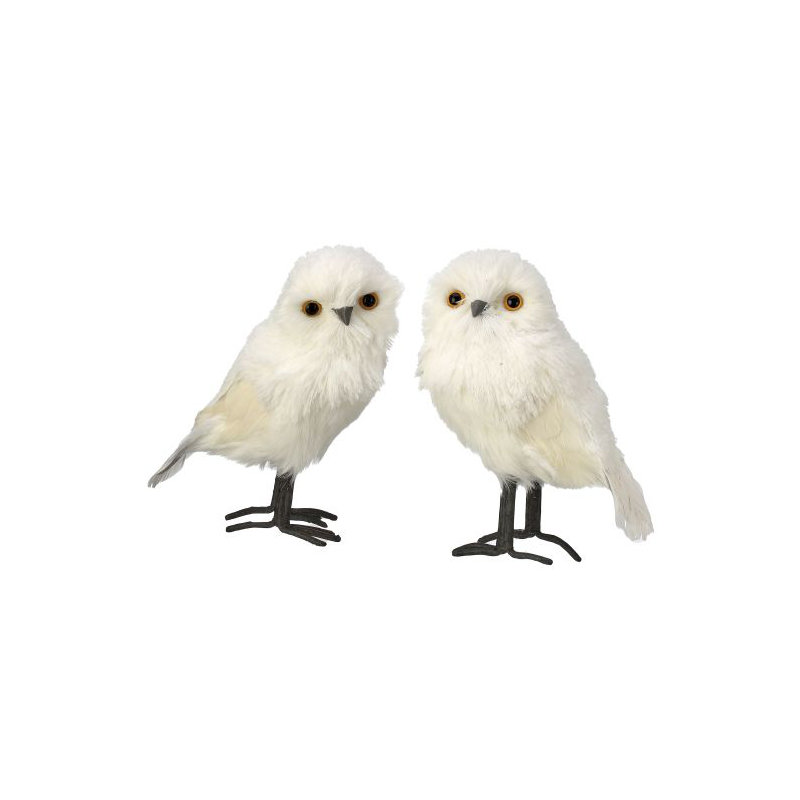 White owl 2, H 10 po x l 5 po x L 6 po