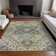 Machine Washable Indoor/Outdoor Chayden ACN1036 Rug