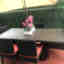 Photos des clients 1 de 2