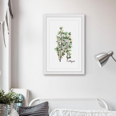 " Herb Thyme " by Rachel Byler